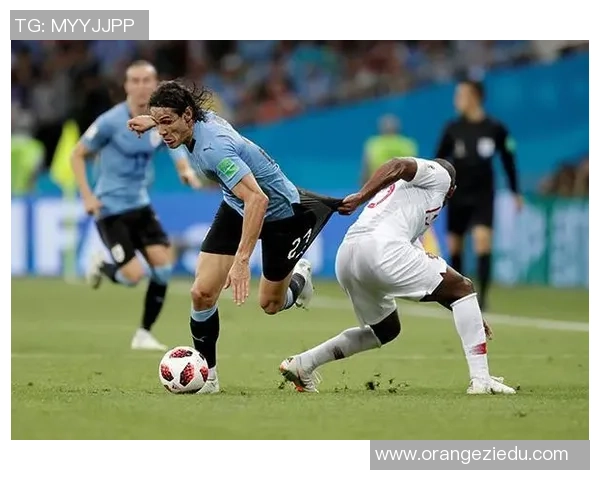 足球明星米尔克的职业生涯与成就全景解析